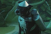Image from: Plan 10 from Outer Space (1995)