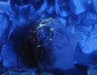 Image from: CyberTracker (1994)