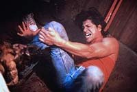 Image from: Ticks (1993)