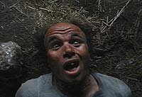 Image from: Ticks (1993)