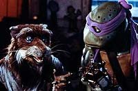 Image from: Teenage Mutant Ninja Turtles III (1993)