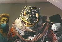 Image from: Frogtown II (1992)
