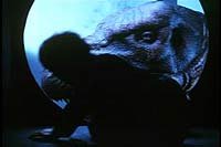 Image from: Carnosaur (1993)