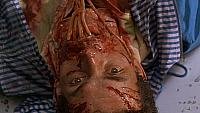 Image from: Body Melt (1993)