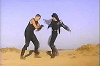 Image from: Eternal Fist (1992)