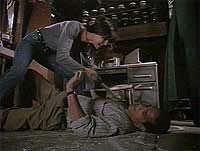 Image from: Syngenor (1990)