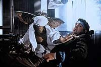 Image from: Gremlins 2: The New Batch (1990)