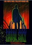 Fatal Sky (1990) Poster