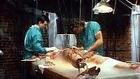 Image from: Bride of Re-Animator (1989)
