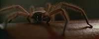 Image from: Arachnophobia (1990)
