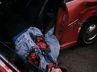 Image from: Food of the Gods II (1989)