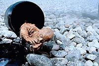 Image from: Phantasm II (1988)