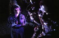 Image from: Nest, The (1988)