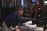 Image from: Monkey Shines (1988)