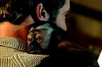 Image from: Monkey Shines (1988)
