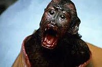 Image from: Monkey Shines (1988)