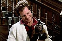 Image from: Monkey Shines (1988)