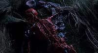 Image from: Critters 2 (1988)