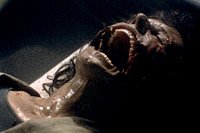 Image from: Nightflyers (1987)