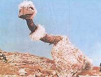 Image from: Lilovyy Shar (1987)