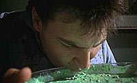 Image from: Bad Taste (1987)