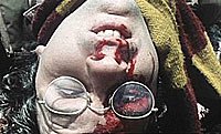 Image from: Bad Taste (1987)