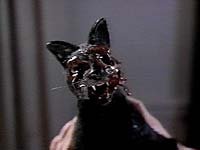 Image from: Night of the Creeps (1986)