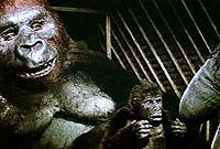 Image from: King Kong Lives (1986)