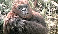 Image from: King Kong Lives (1986)