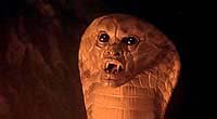 Image from: Dreamscape (1984)