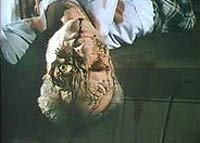 Image from: Nightbeast (1982)