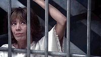 Image from: Incredible Shrinking Woman, The (1981)