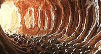 Image from: Contamination (1980)