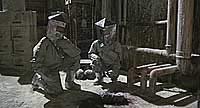 Image from: Contamination (1980)