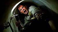 Image from: Alligator (1980)