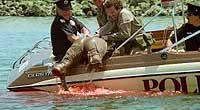 Image from: Alligator (1980)