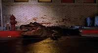Image from: Alligator (1980)
