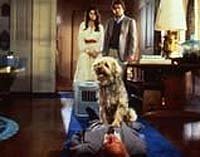 Image from: C.H.O.M.P.S (1979)