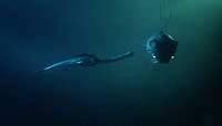 Image from: Warlords of Atlantis (1978)