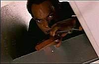 Image from: Dawn of the Dead (1978)