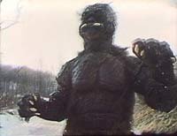 Image from: The Alien Factor (1978)