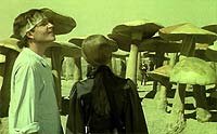 Image from: Viaje al Centro de la Tierra (1977)