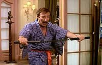 Image from: Pink Panther Strikes Again, The (1976)