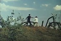 Image from: Giant Spider Invasion, The (1975)