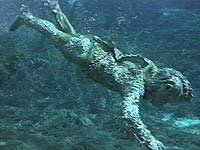 Image from: Zaat (1971)