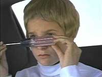 Image from: Idaho Transfer (1973)