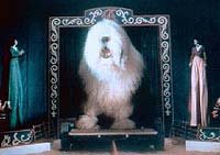 Image from: Digby, the Biggest Dog in the World (1973)