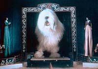 Image from: Digby, the Biggest Dog in the World (1973)