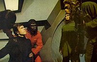 Image from: Conquest of the Planet of the Apes (1972)