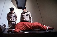 Image from: Conquest of the Planet of the Apes (1972)